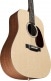 DX1E-04 DREADNOUGHT SPRUCE HPL/MAHOGANY HPL