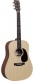 DX1E-04 DREADNOUGHT SPRUCE HPL/MAHOGANY HPL