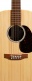 D-X2E 12Str Sitka/Faux Brazilian Rw Hpl