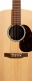 D-X2E Sitka/Faux Brazilian Rw Hpl