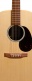 D-X2E Sitka/Mahogany Hpl