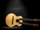 GJ-28EDN Double Neck