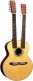 GJ-28EDN Double Neck