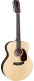 Gj16E12 Grand Jumbo 12 Strings
