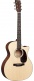Gpc-16E Mahogany