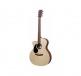 Gpc-X2E Sitka-Acajou Hpl