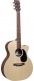 GPCX2E-01 GRAND PERFORMANCE GRAND PERFORMANCE CUT. SPRUCE/MAHOGANY HPL