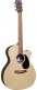 GPCX2E-02 GRAND PERFORMANCE GP CUT. SPRUCE/ROSEWOOD HPL