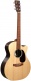 Gpc-X2E Sitka/Cocobolo Hpl