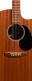Gpc-X2E Sapele/Ziricote Hpl