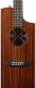 Sc-10E Sapele