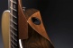 Guitare Sc-13E Special