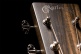 Guitare Sc-13E Special