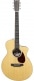 GUITARE SC-13E SPECIAL