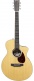 Guitare Sc-13E Special