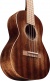 Ukulélé T1 Streetmaster Uke