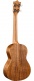 T1K Koa