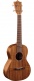 T1K Koa
