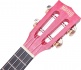 Ukulele Island Concert Cherry Red + Cover