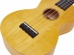 Ukulele Island Concert Sun Flower + Cover