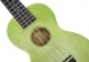 UKULELE ISLAND CONCERT SEA GREEN + COVER