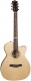 Fairmount Cw Flame Maple Gt Eq Livrée En Housse