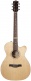 Fairmount Cw Flame Maple Gt Eq Livrée En Housse