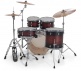 CATALINA MAPLE Fusion 20