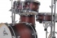 CATALINA MAPLE Fusion 20