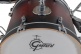 CATALINA MAPLE Fusion 20