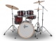 CATALINA MAPLE Fusion 20