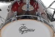 CATALINA MAPLE Fusion 20