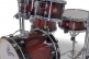 CATALINA MAPLE Fusion 20