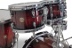 CATALINA MAPLE Fusion 20
