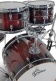 CATALINA MAPLE Fusion 20