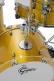 CATALINA MAPLE LEMON SPARKLE CM2-E624S-LS