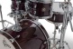 CATALINA MAPLE PURPLE GLOSS CM2-E625-PG