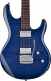 Luke - Flame Maple Blueberry Burst