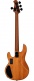 Ray 34 HH Poplar Burl Amber