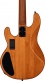 Ray 34 HH Poplar Burl Amber