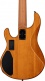 Sterling Ray35Hhpb Amber