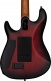 Signature Richardson Dark Scarlet Burst Satin