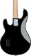 Stingray In Black
