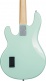 Stingray In Mint Green