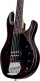 Stingray 5 Walnut Satin
