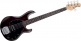 Stingray 5 Walnut Satin