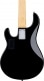 STINGRAY5 IN BLACK, 5-STRING