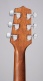 Gln11Ens Nex Electro Acajou - B Stock