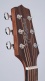 Gln12Ens 12 Nex Spruce-Mahogany - B Stock