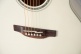 GN37CE PW Nex Cutaway Pearl White